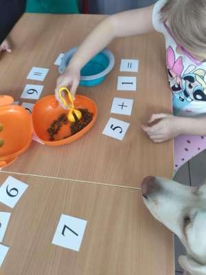 dogoterapia 4 20250522 1310423808