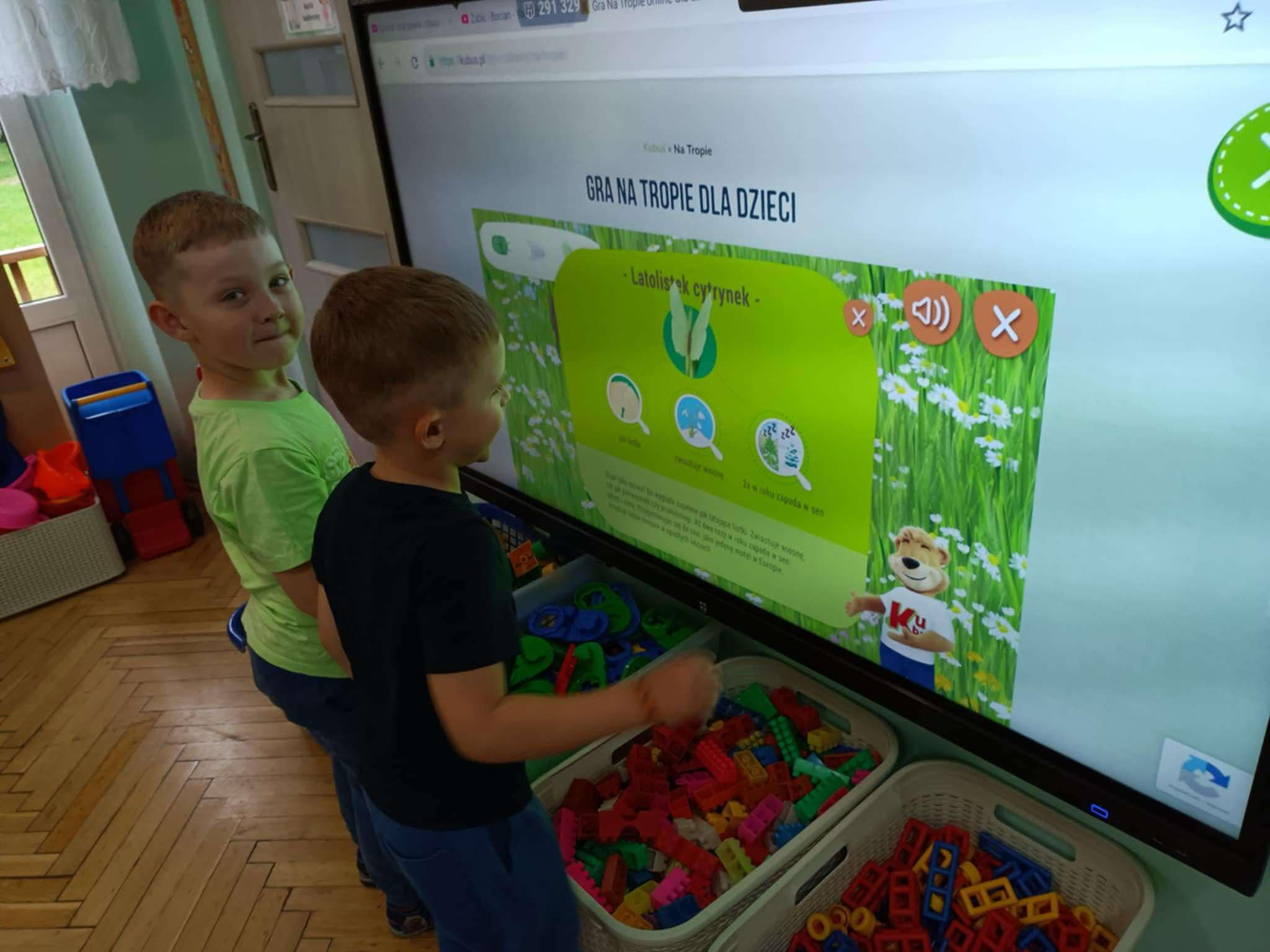 ekologia 2 4 20250608 1037602052