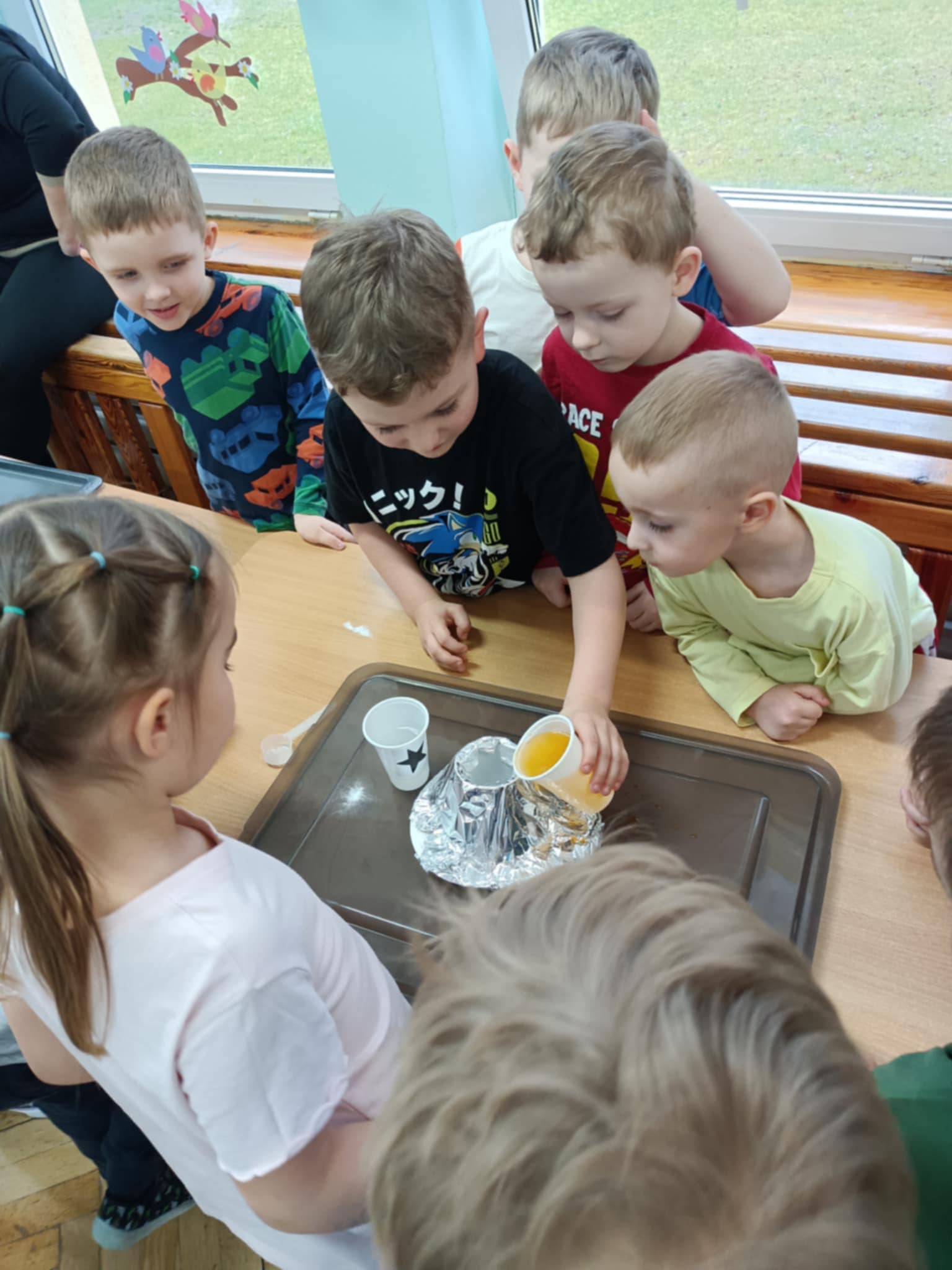 ekologia 2 5 20250608 1670353701