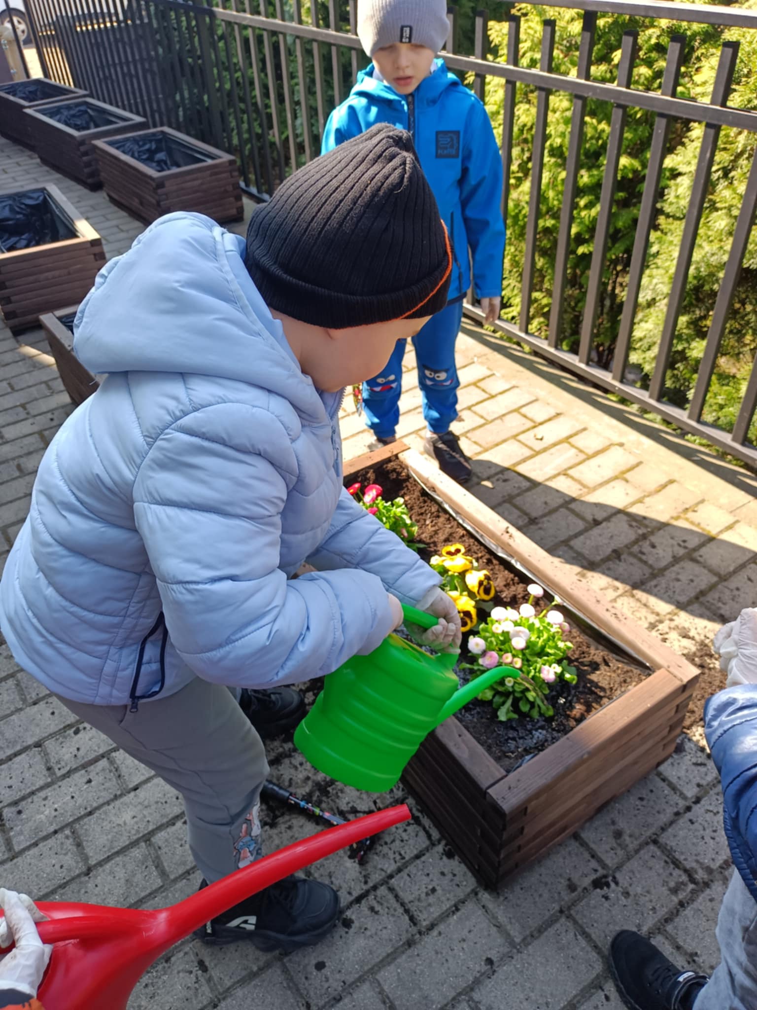 ogrodek kwiatowy 6 20250604 1132169858