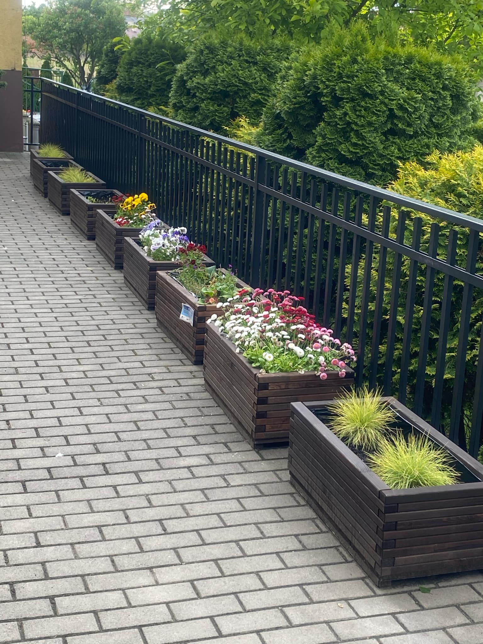 ogrodek kwiatowy 8 20250604 1984166432